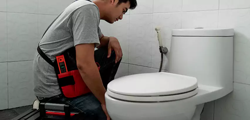 Toilet Repair in Frisco