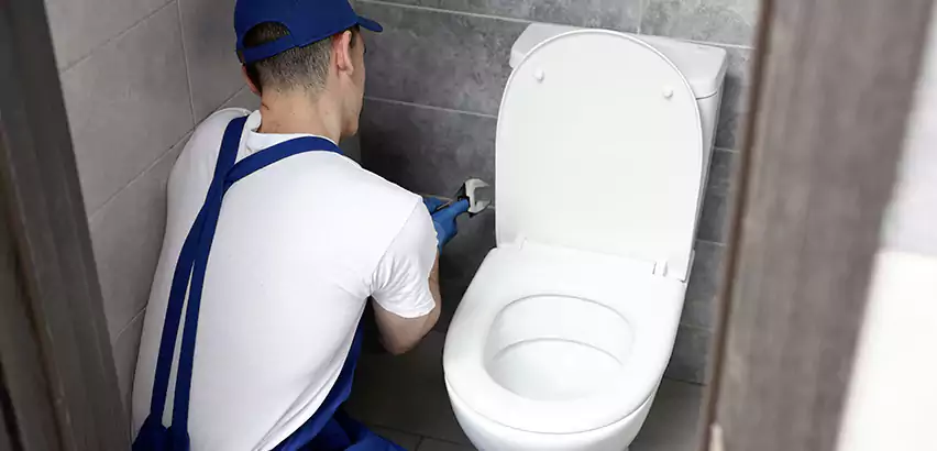Toilet Lid Replacement in Frisco