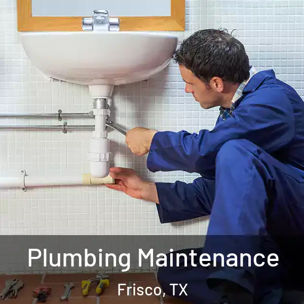  Plumbing Maintenance Frisco, TX