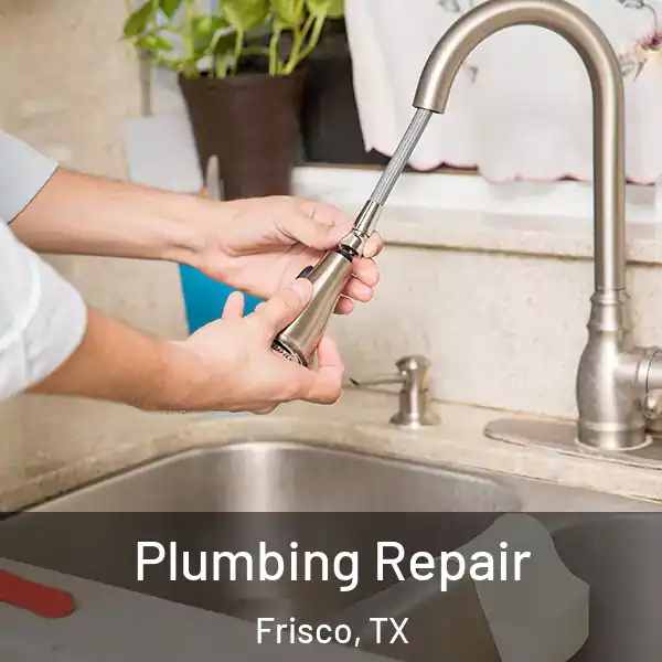 Plumbing Repair Frisco, TX