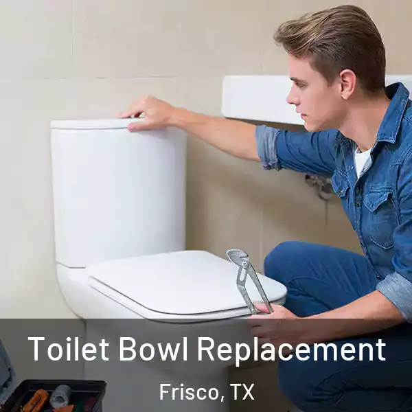  Toilet Bowl Replacement Frisco, TX
