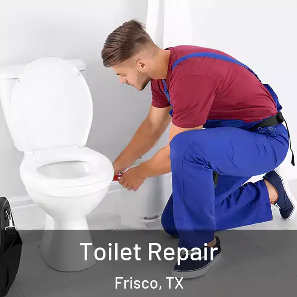  Toilet Repair Frisco, TX