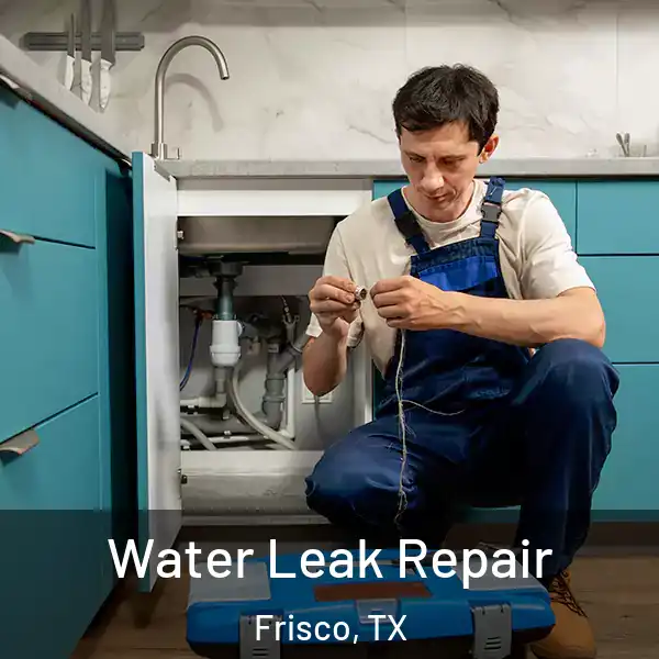  Water Leak Repair Frisco, TX